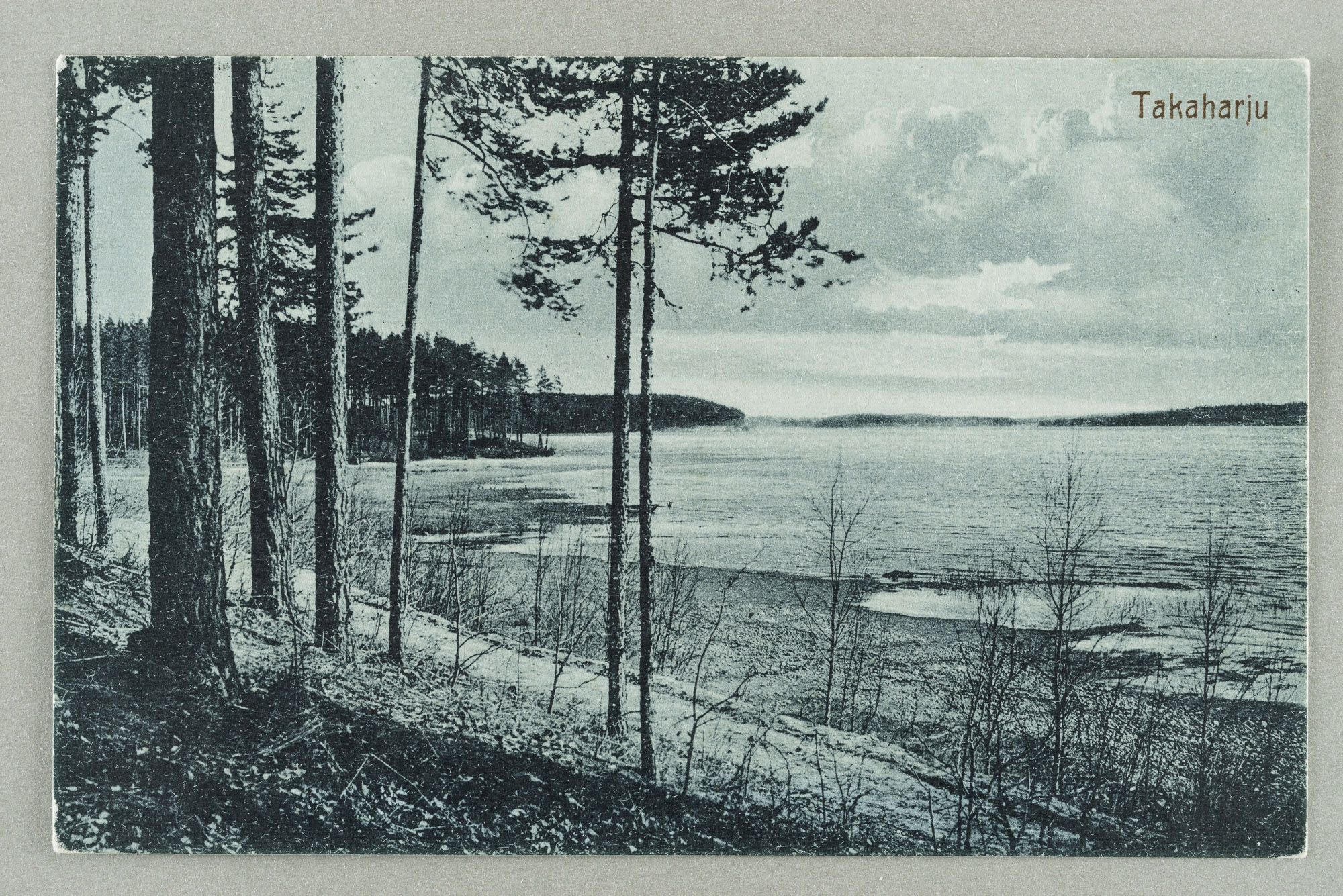 From the sides of the Pöllänselä towards Silvonniemi, behind Mustaniemi