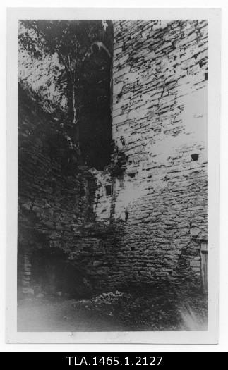 Padise monastery. View of the wall.