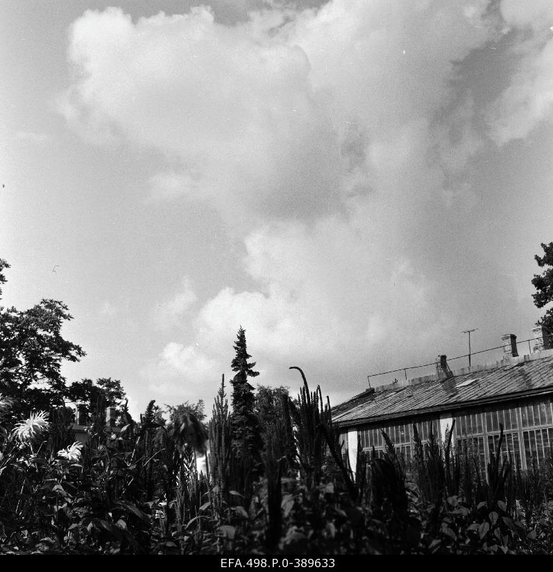 Botanical garden of Tartu National University.