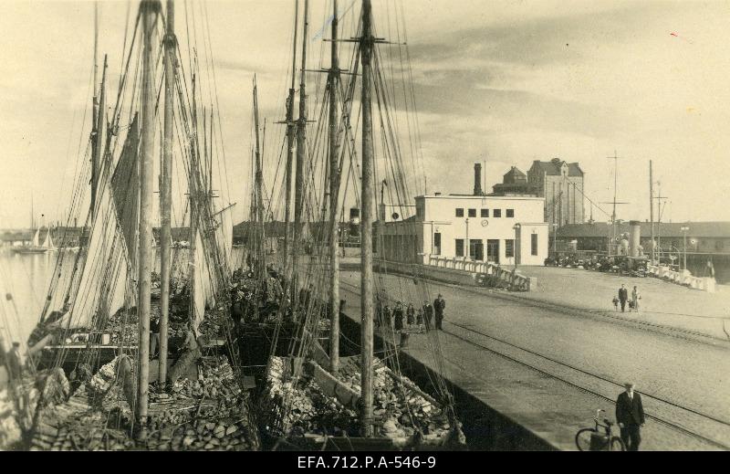 Sails with uncharged heating trees near the cave in the port of Tallinn. Travellers' building (left) and crop screening.