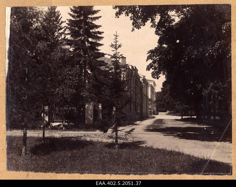 Toomemägi. View of the birthplace