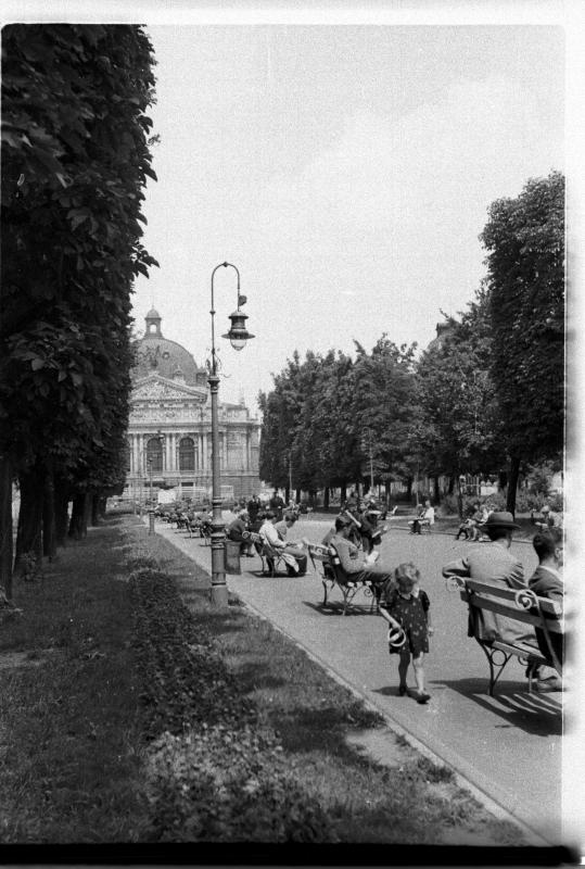Parkallee in Lemberg, 1943