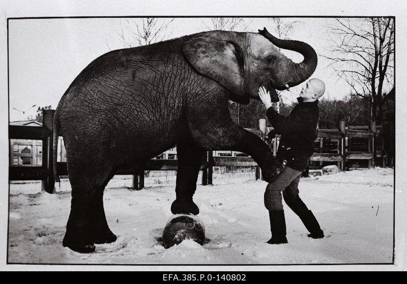 Ivo Jäik with elephant.