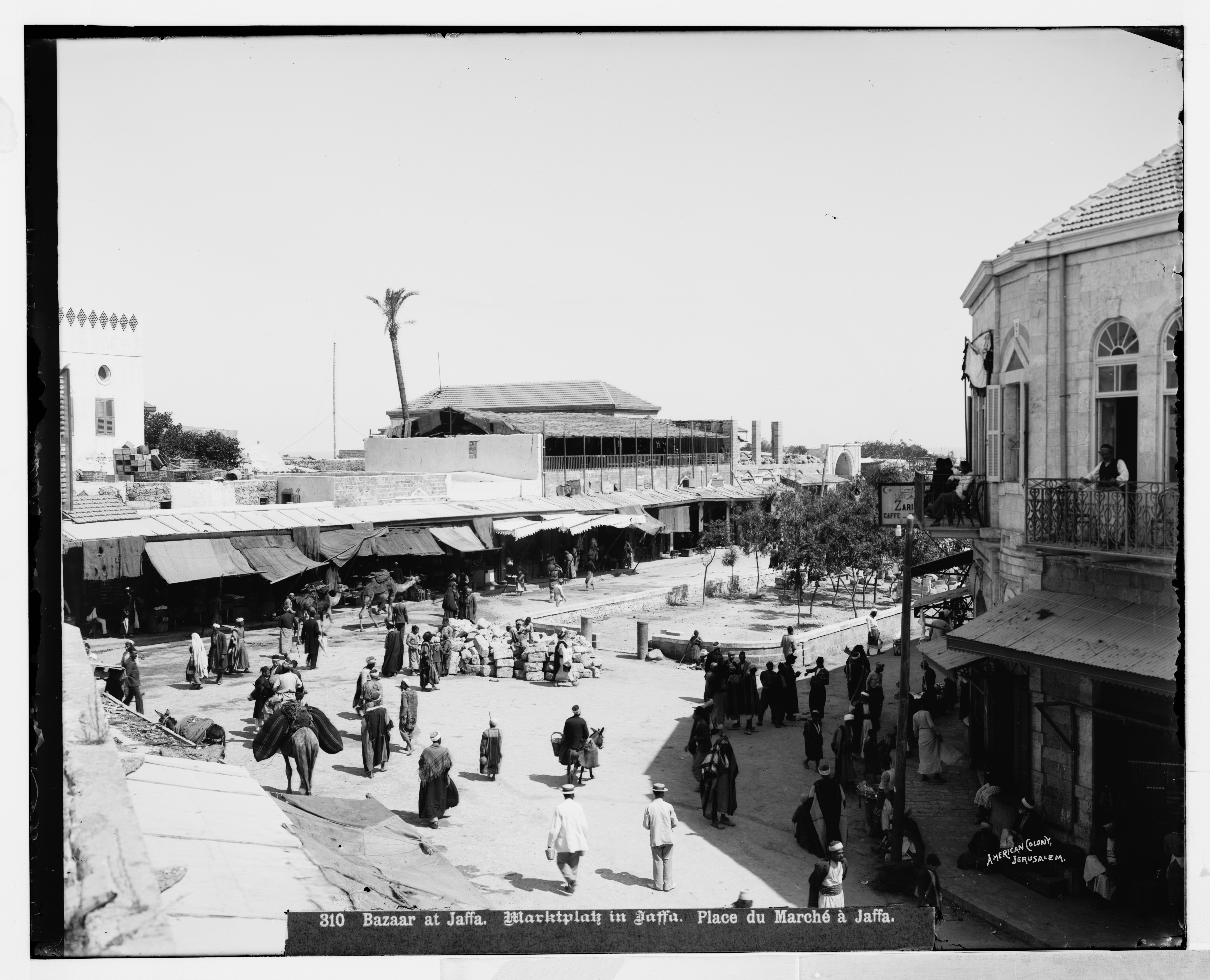 Jaffa (Joppa) and environs. The bazaar LOC matpc.06524