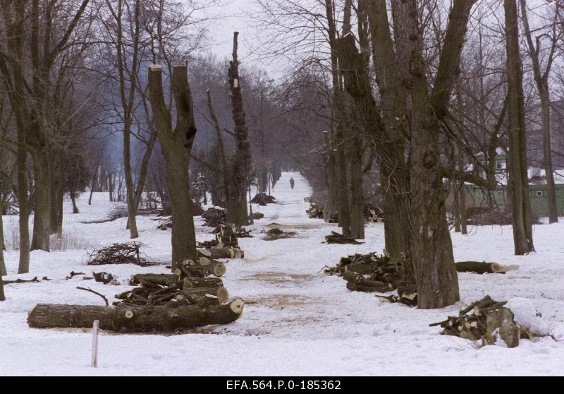 Construction of the Kadrioru park.