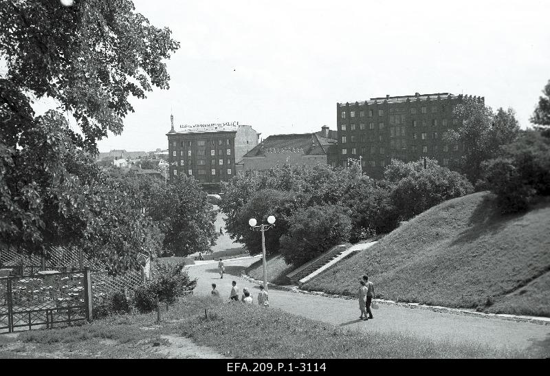 View from Harjumägi to the winning square.