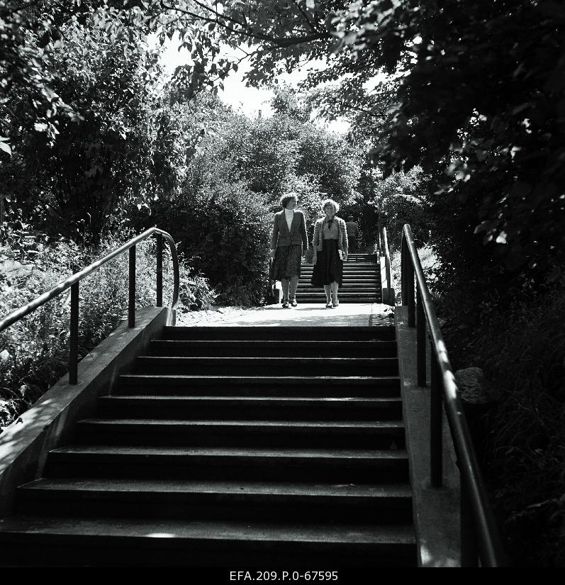 Vallikraavi staircase on Tiigi Street.
