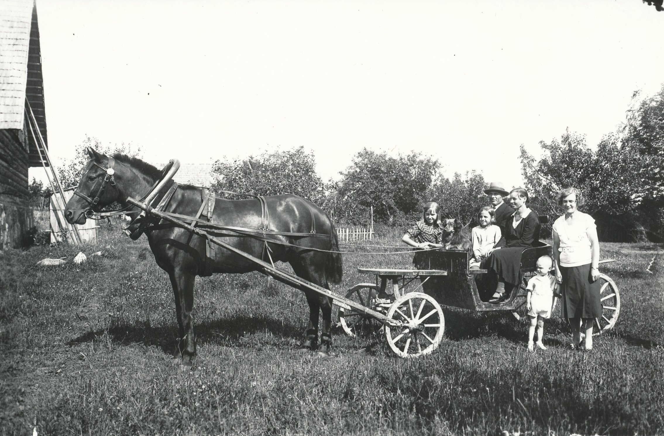Foto. Tsooru valla Kivisaare talu peremees Adolf Põder abikaasa ja kahe tütrega ning koeraga vedruvankril..