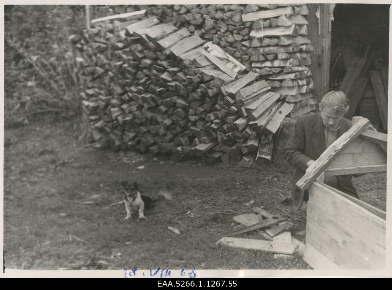 Heini Valdmann house in the courtyard of the puppy Puika is building a dog cube