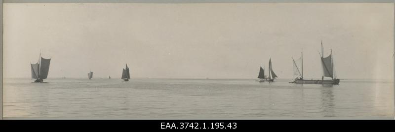 Stettini Gulf (Zalew Szczecinski, Oderhaff). View of sailing in the Gulf