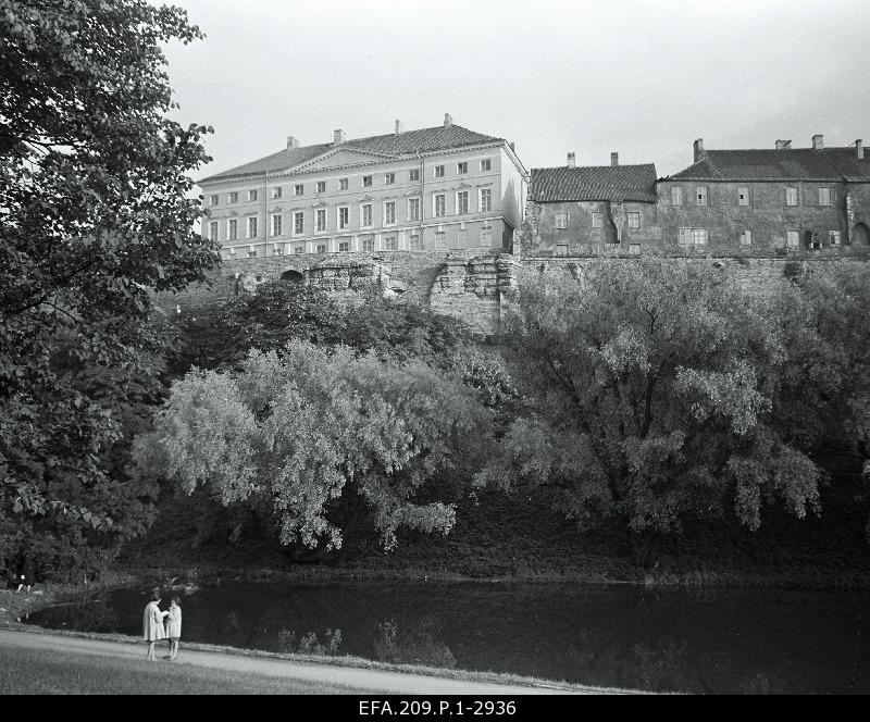 View of Toompea's slope from the edelict.