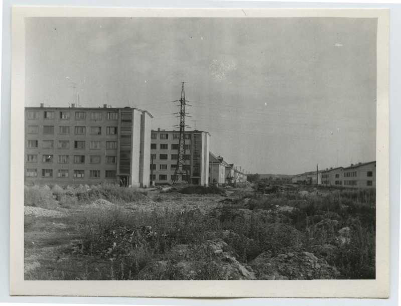 Uued majad Sõpruse puiesteel