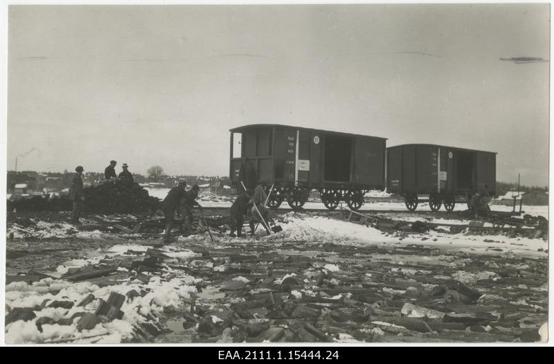 Heating committee digs from frozen soil trees