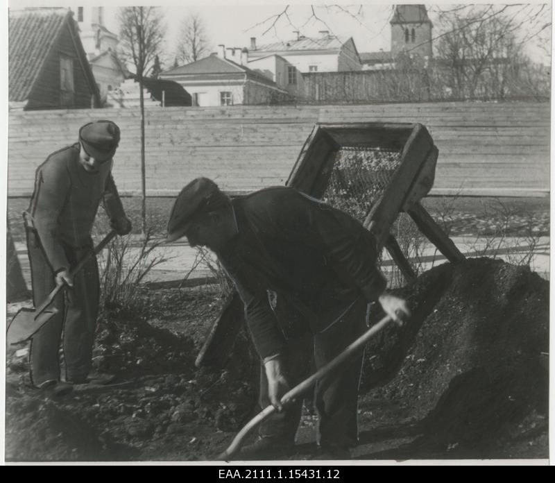 Work in Tartu parks and lawn areas in spring 1936
