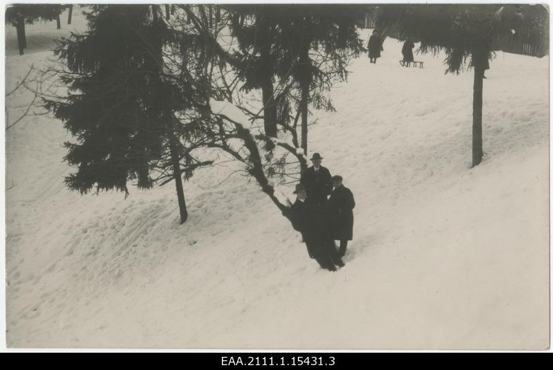 VIIk, Peel and Mänd Catsitoome valley in early spring 1924