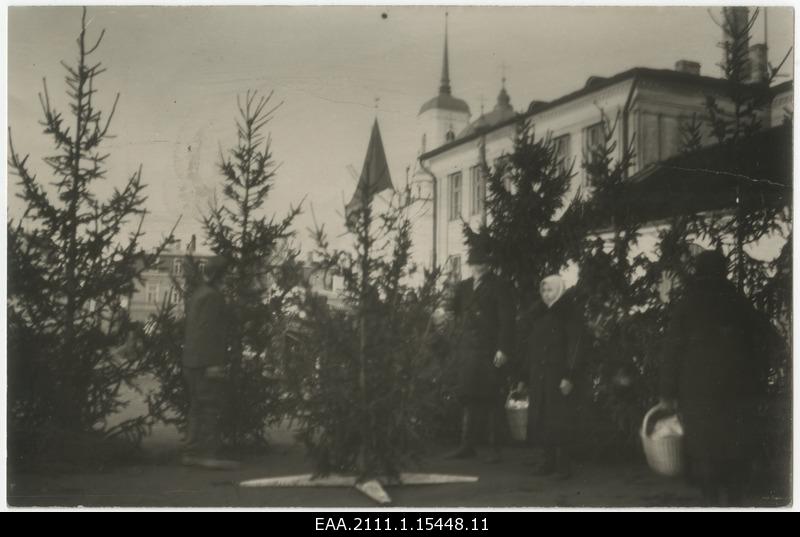 Sale of Christmas trees in Tartu market