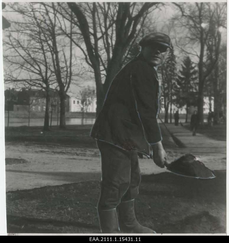 Work in Tartu parks and lawn areas in spring 1936