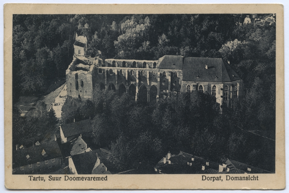 Tartu, Big Doomevaremed = Dorpat, Domansicht