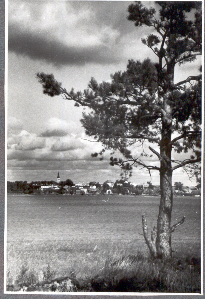Foto vaade Võlsilt Võru linnale 1950.aastatel.Foto Hillar Uusi.