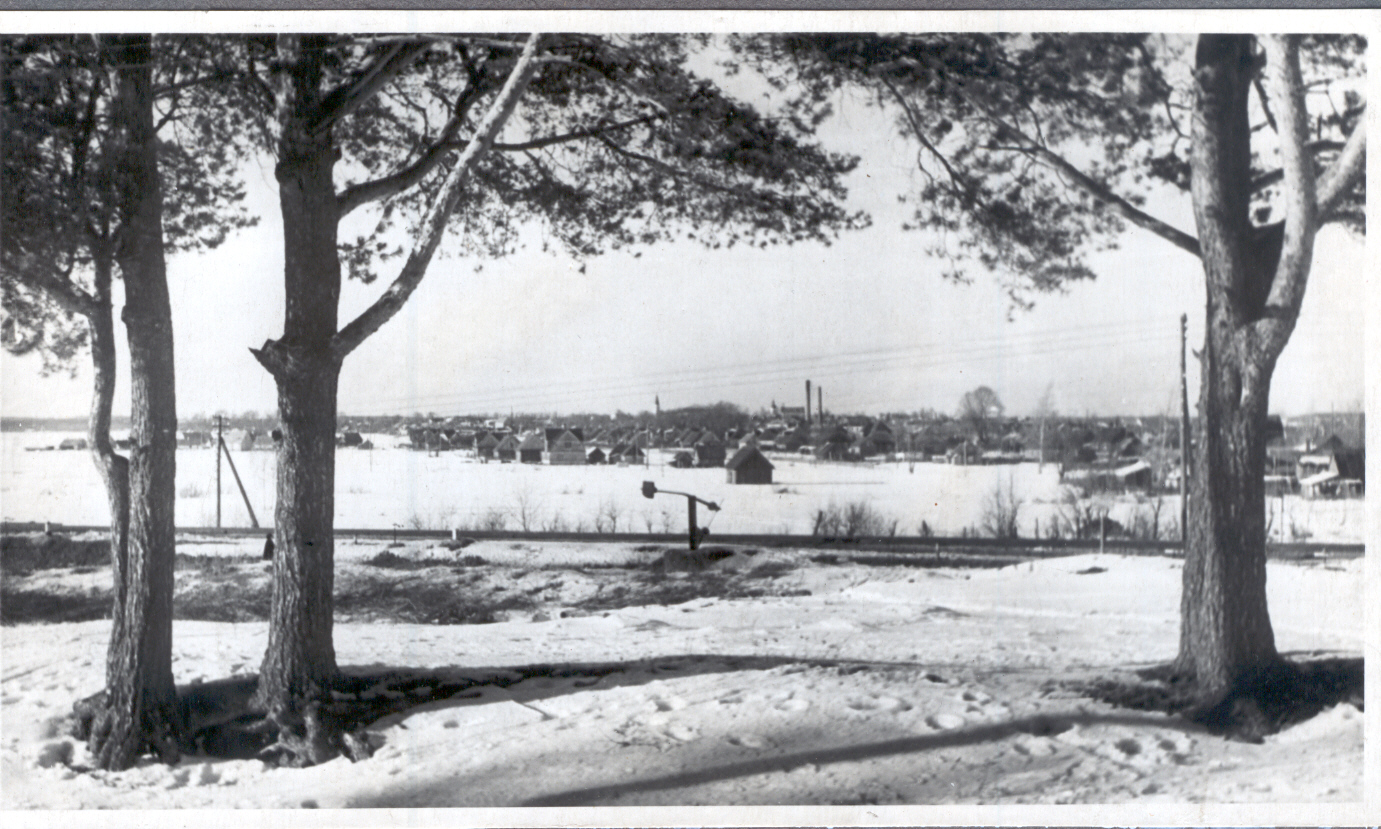 Foto Uute individuaalelmute rajamine Võrusoo alale 1950.aastatel.Foto Hillar Uusi.