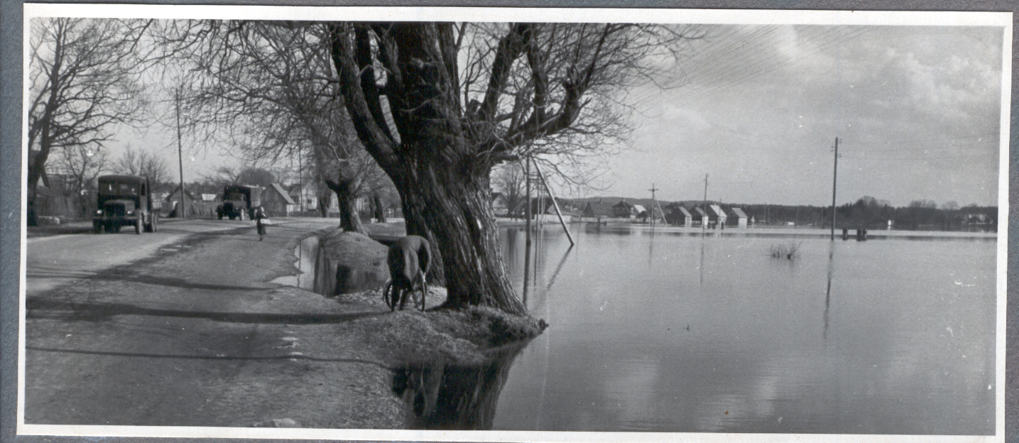 Foto Suurvesi 1956.a. kevadel Kreutzwaldi tänaval. Foto Hillar Uusi.