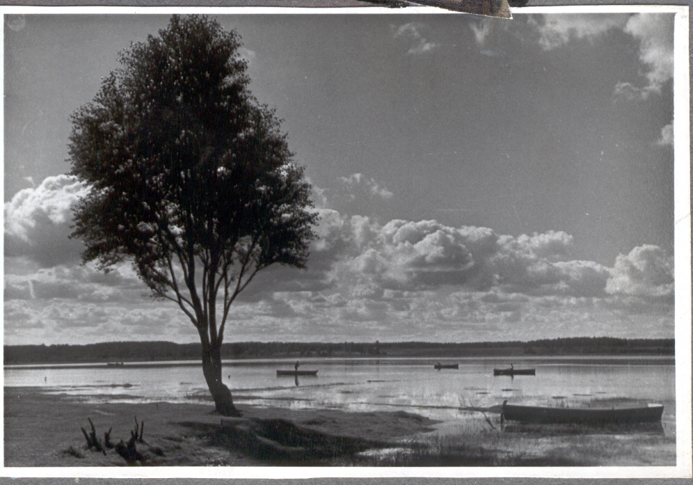 Foto Vaade Tamula järvele 1950.aastatel.Foto Hillar Uusi.