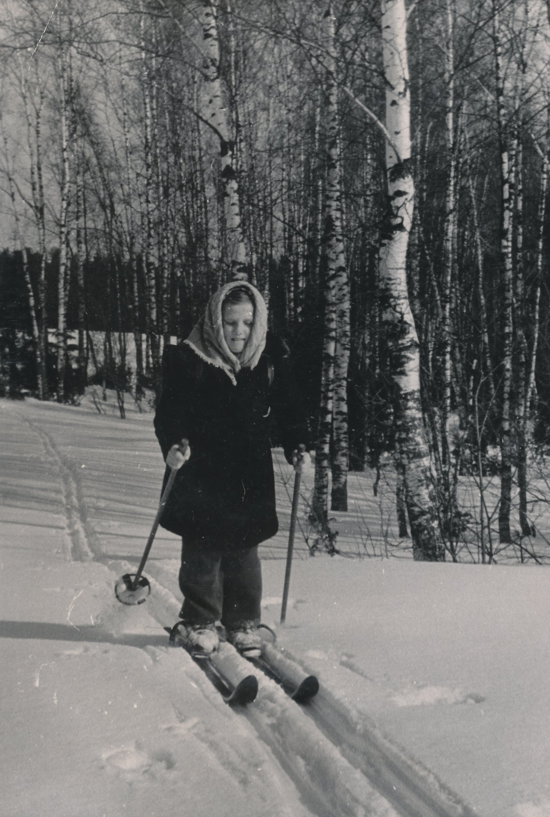 Foto Väike suusaneiu Meegomäe metsades 1960-tel