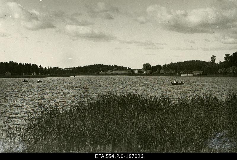 Elva Suurjärv.