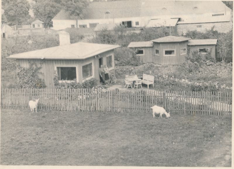 Foto. Juuli Martinson maja ja aed Haapsalus Koidula 11 b. 1949.