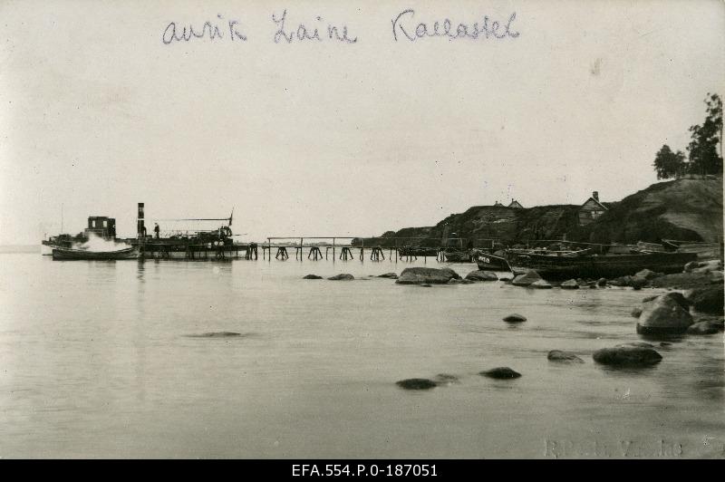 Aurik Laine Kallaste port.