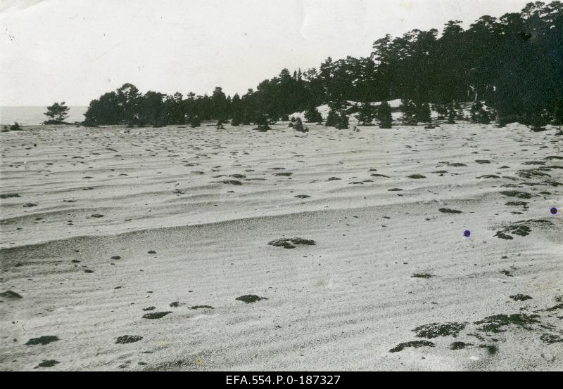 Sandwiches on the beach.