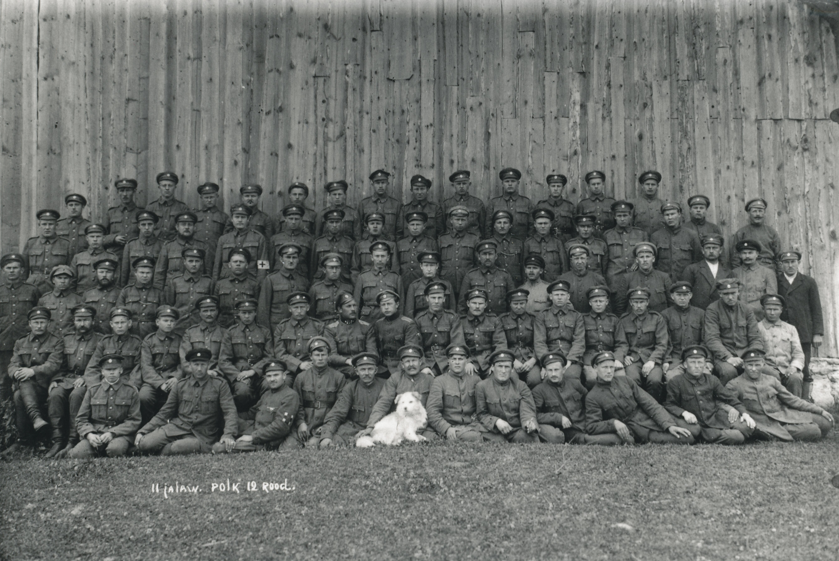 Foto. 2. jalaväepolgu 12. rood 1919.a. valge koeraga. Jaan Niiluse foto.