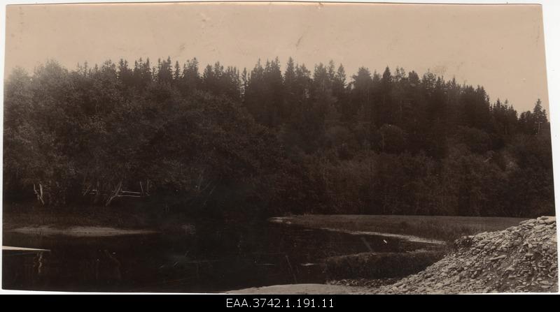 View of the river basin and the forest area
