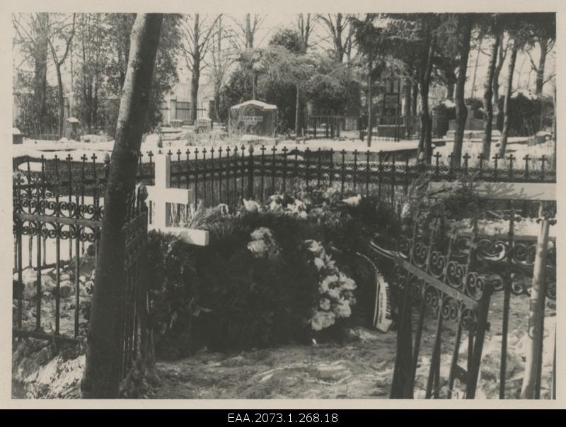 Alexandra Alexandrov's funeral, view of the grave