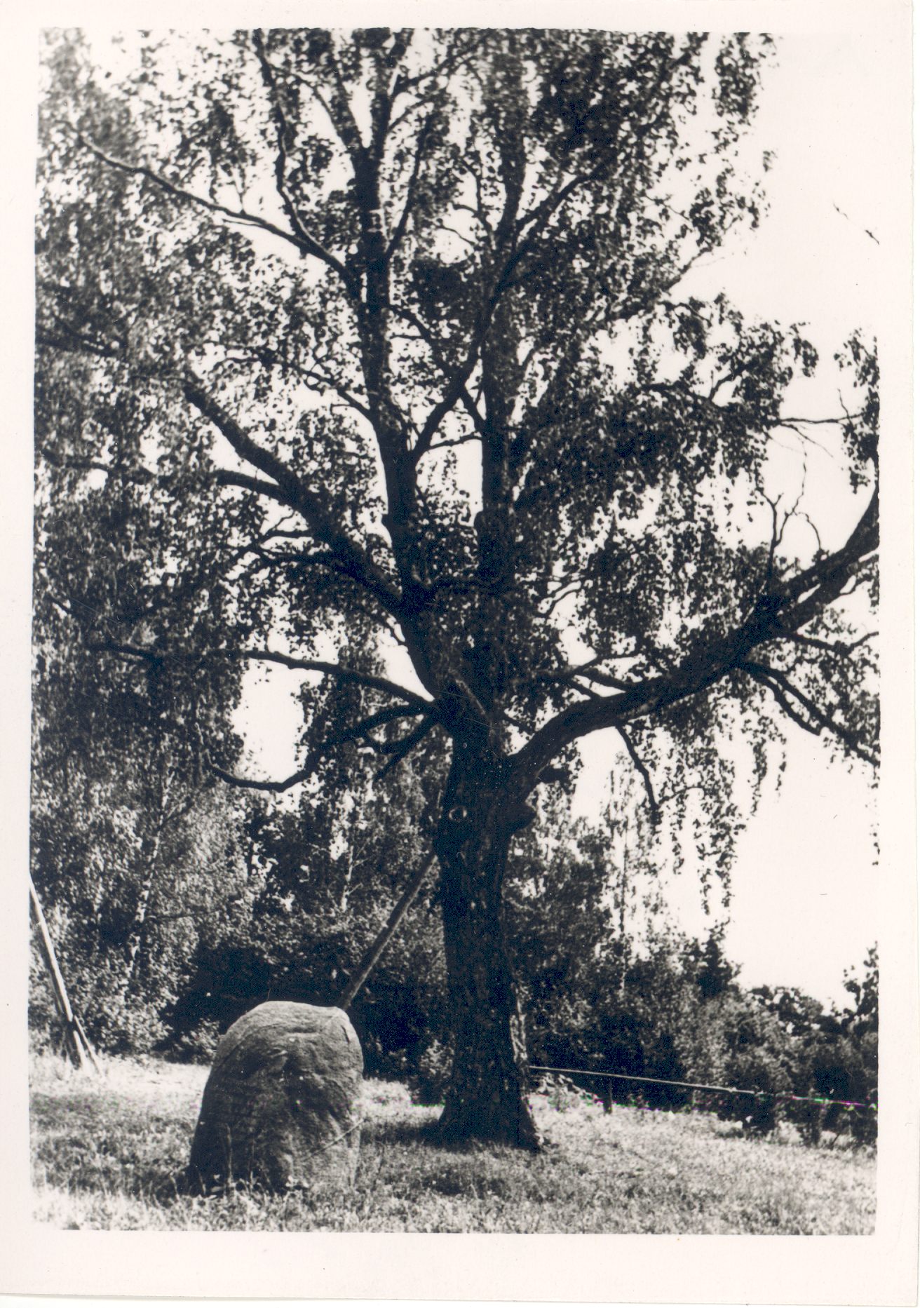 Vilde, Eduard, Kask and Memory Stone in Karjaküla