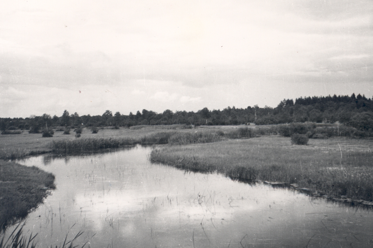 Ao River. 1949