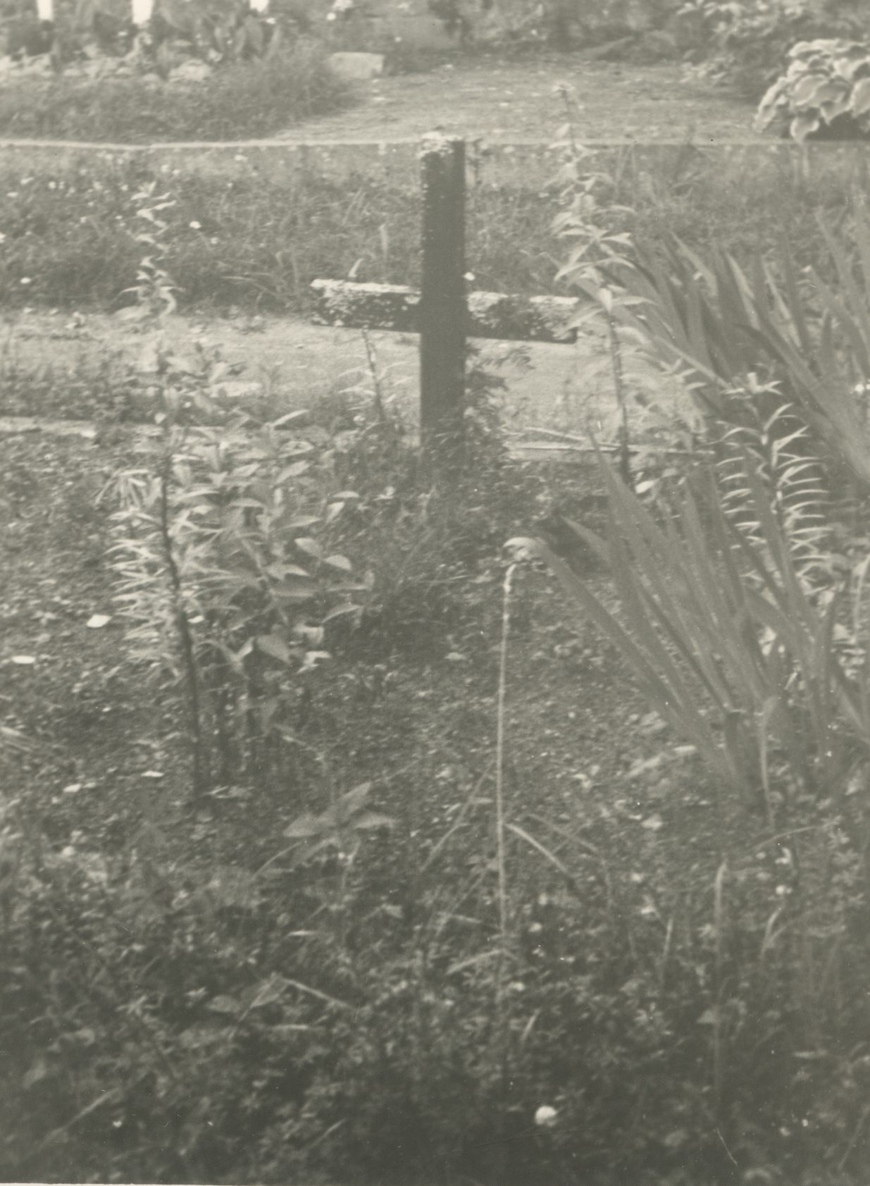 Hendrik Adamson's grave at Helme cemetery (before order).