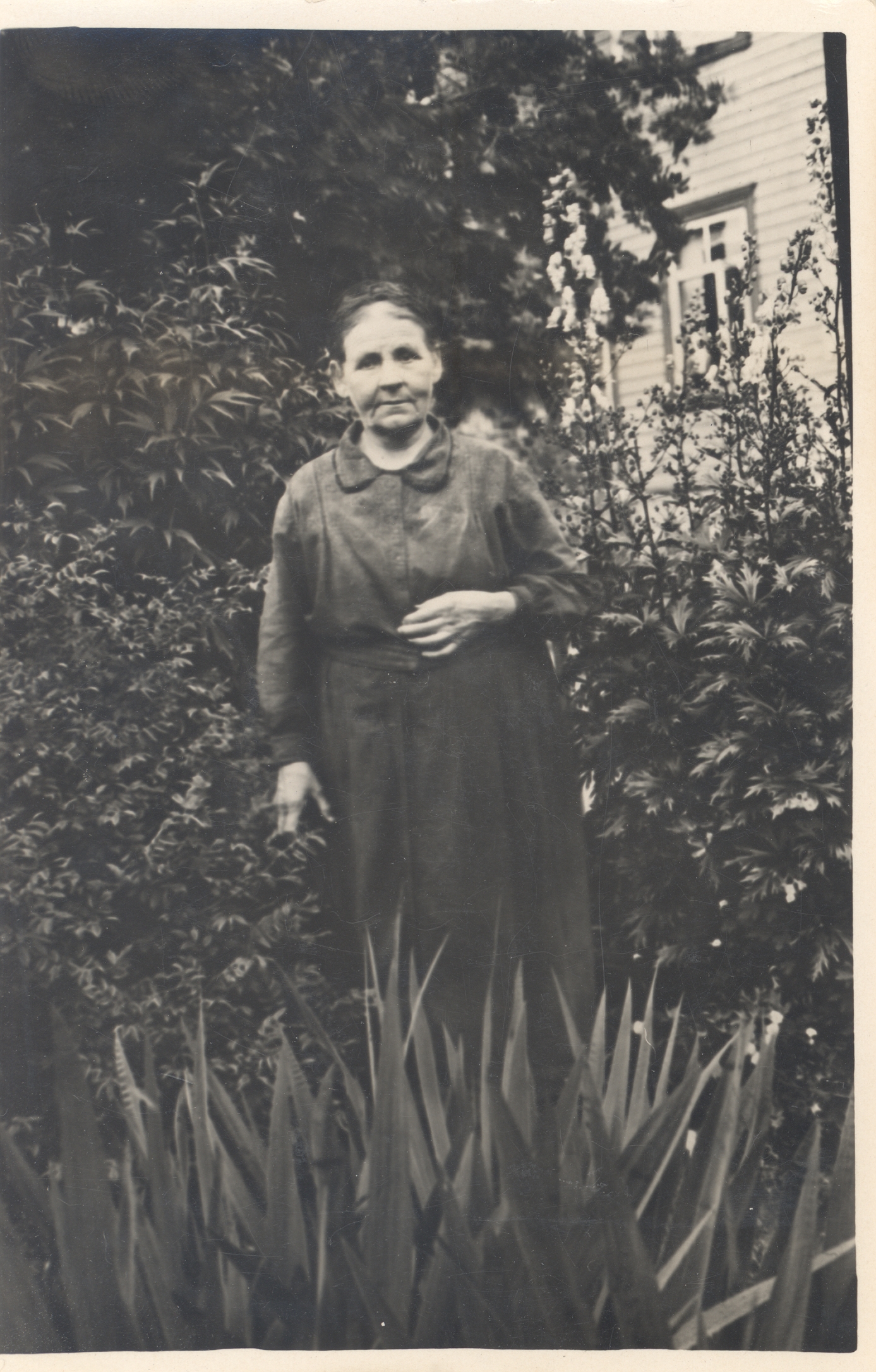 Hugo Raudsepp's mother Marie