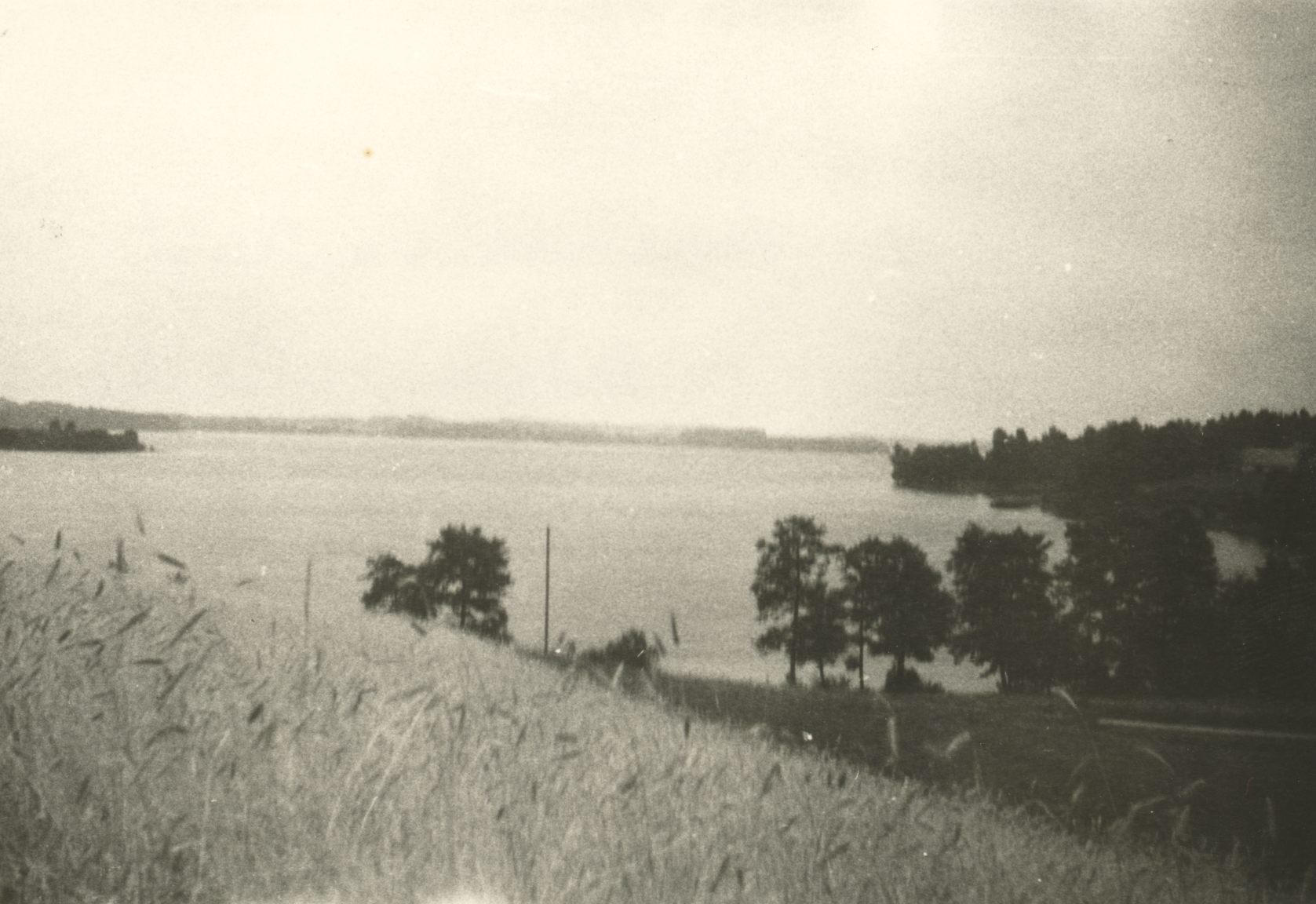 Kuramaa view near Kalkuni in 1961.