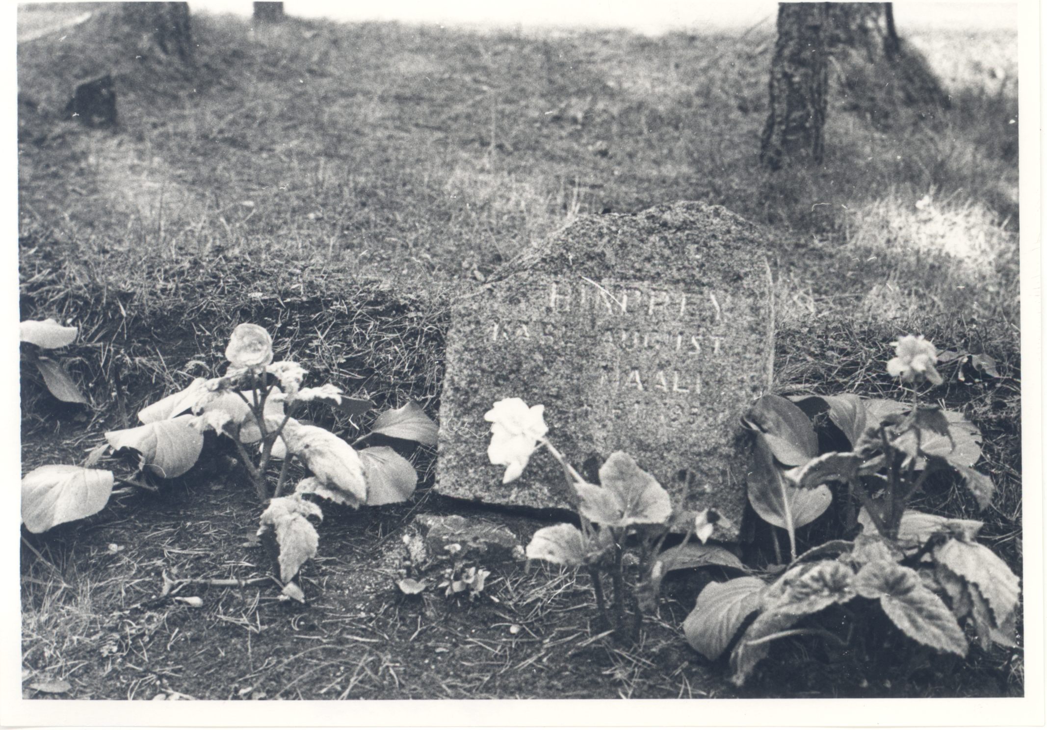 Hindrey, Karl August - grave at the Tallinn Forest Hall
