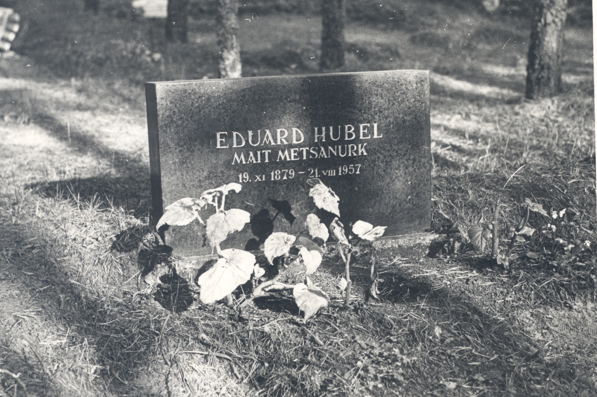 The tomb of Eduard Hubel (1879-1957) in Tallinn at the Metsakalmimist. 1974. a.