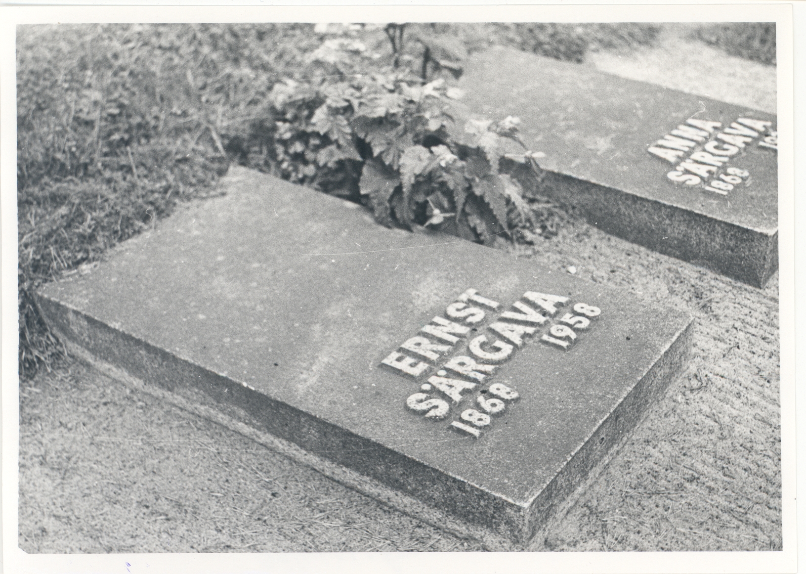 Ernst and Anna Särgava graves in Tallinn at the Forest Hallmist in 1974.
