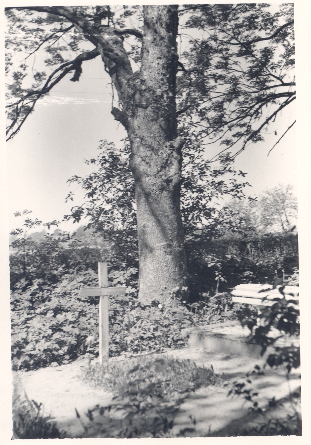 R. Kamsen's grave at Pülistvere cemetery