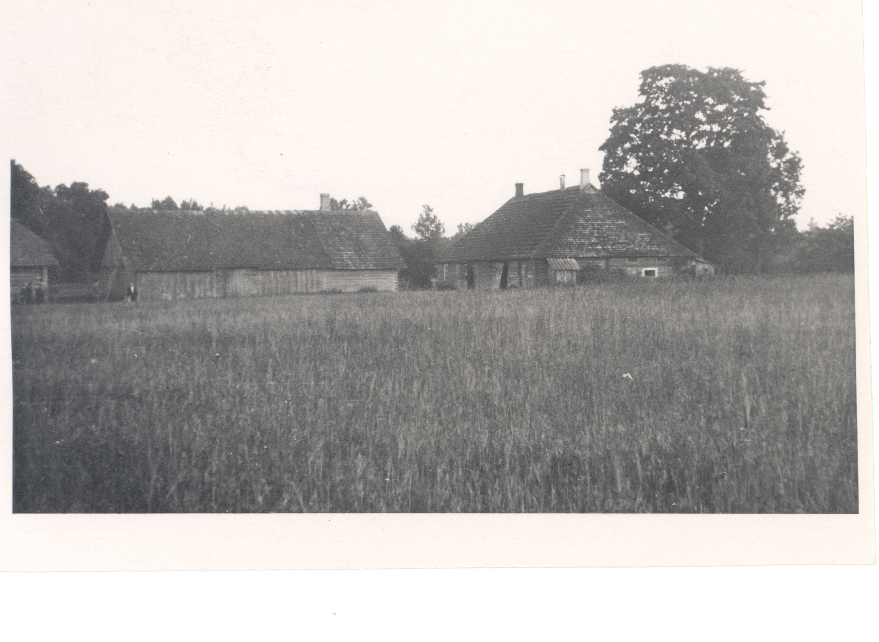 J. Vares-Barbarus's birthplace in Heimtalis