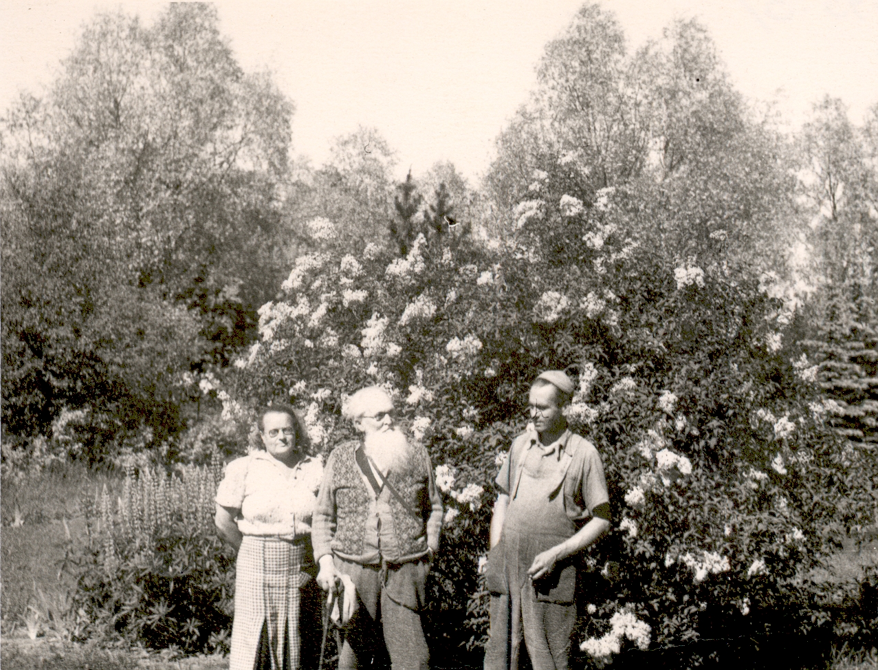 Talk to Särgava, Ernst Peterson-Särgava and Paul Särgava in July 1952