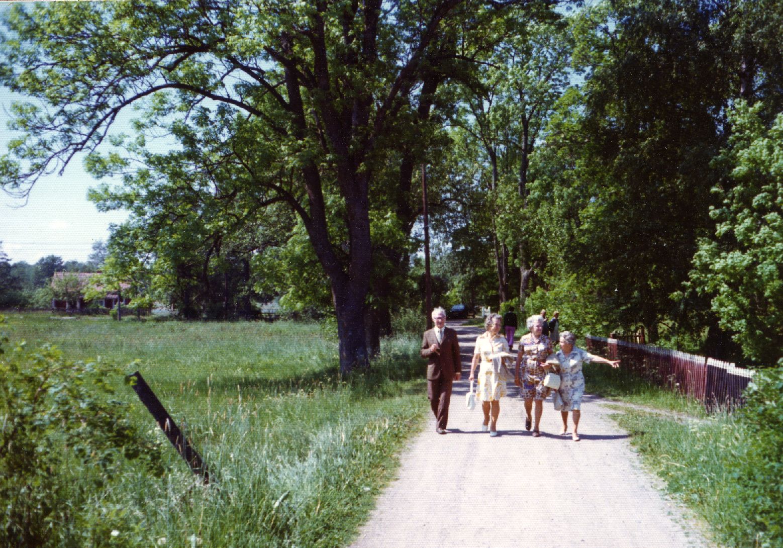 Karl Risitikivi, Liidia Mägi and others walking