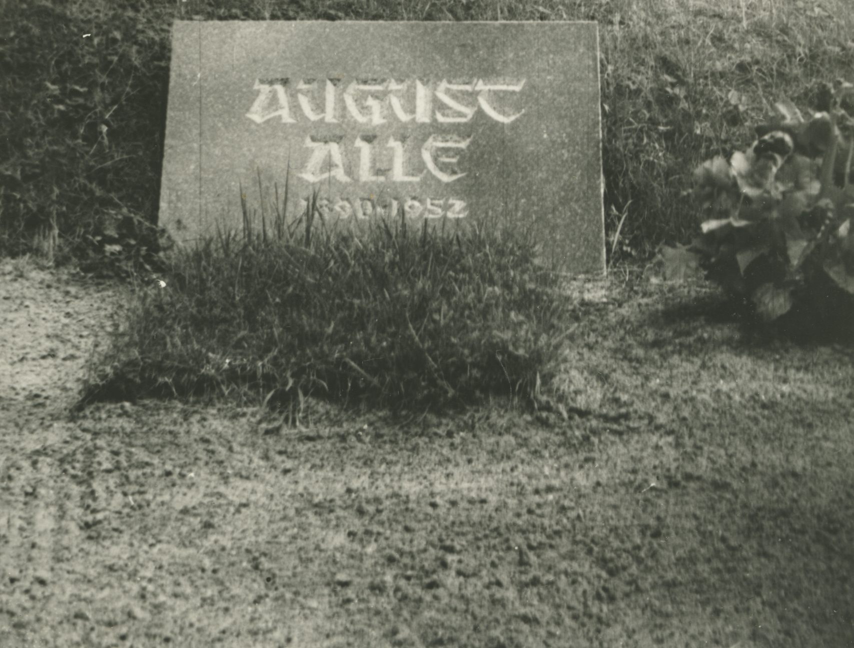 August All Grave