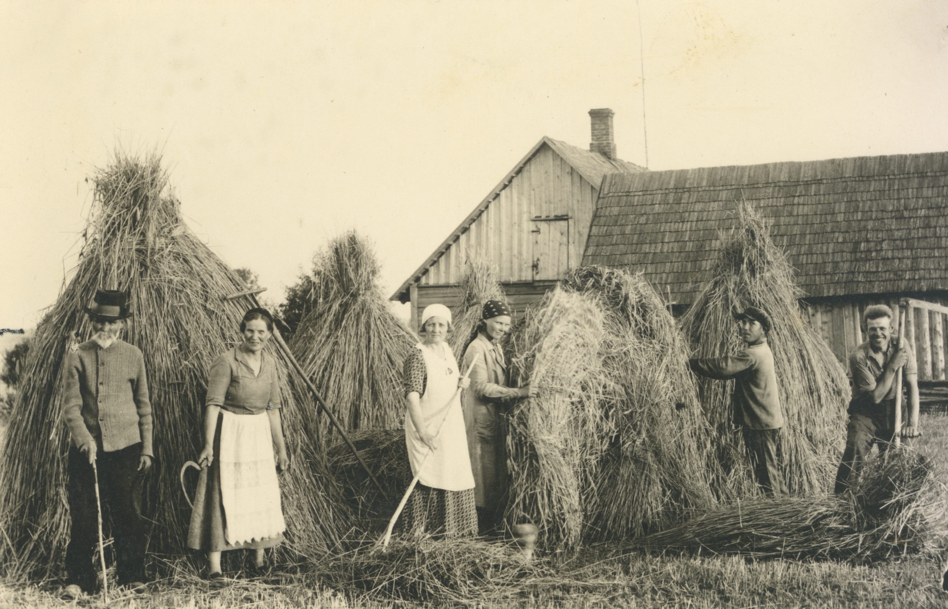 The family of Artur Adson's relatives, Zirk'ude, was harvested in Antslas Lembitu Farm 24.07.1936