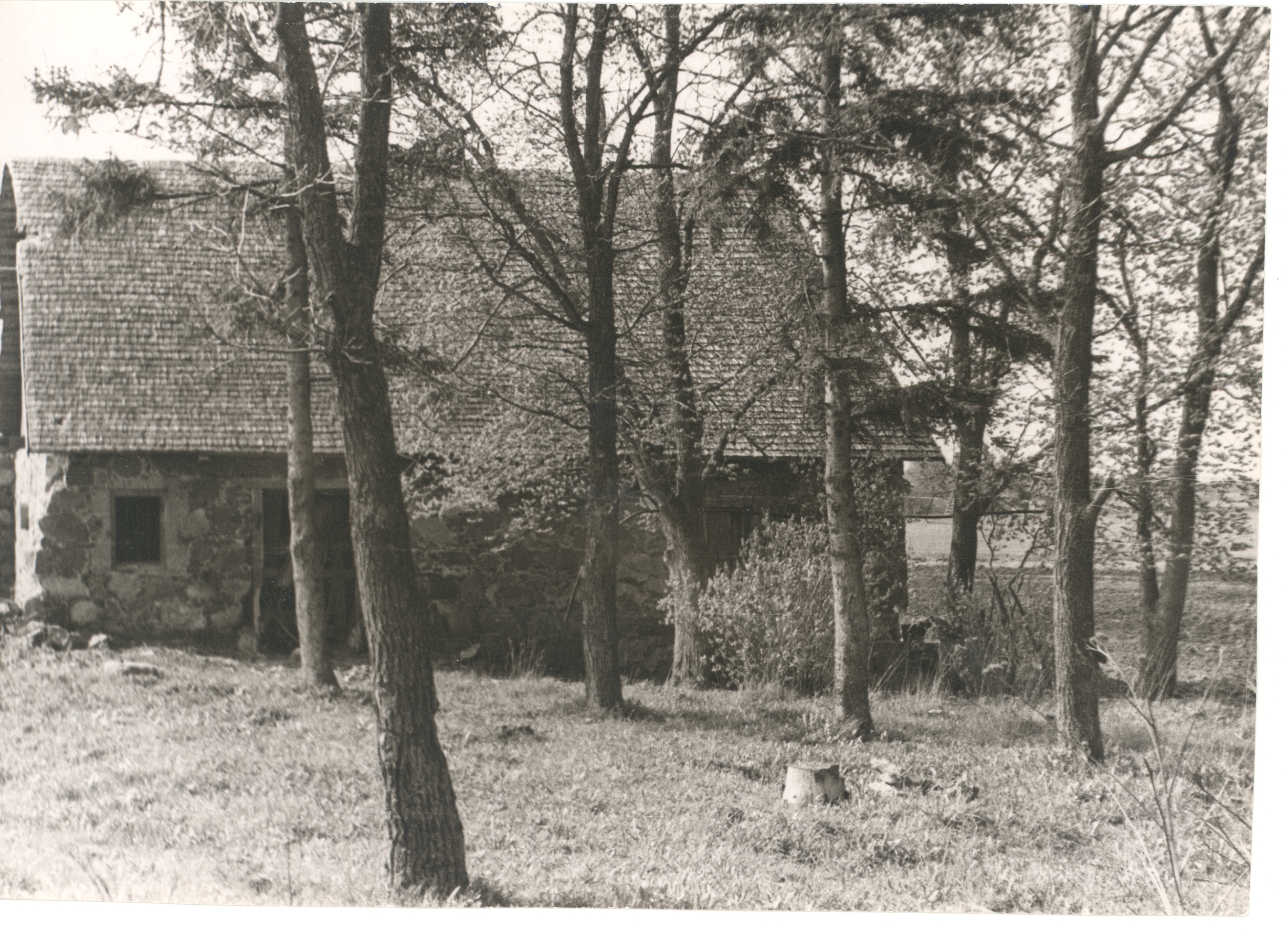 Mait Metsanurga Household courtyard