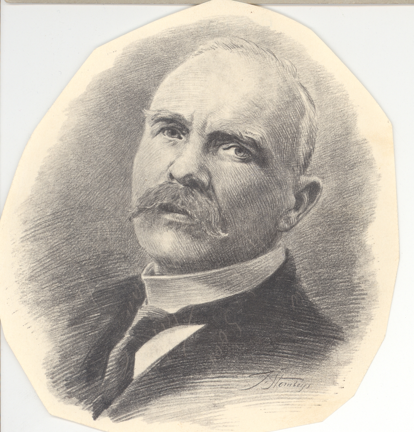 J. Sternbergs drawing K. e. Food portrait